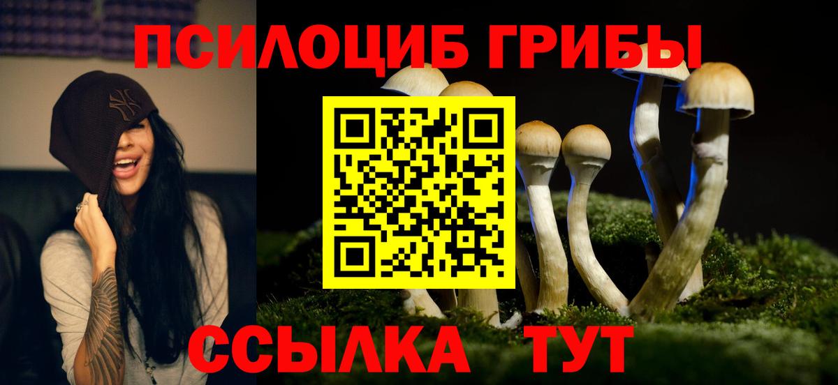 как найти   Псилоцибиновые грибы Magic Shrooms  Вход с VPN  Туймазы  Псилоцибиновые грибы мицелий 